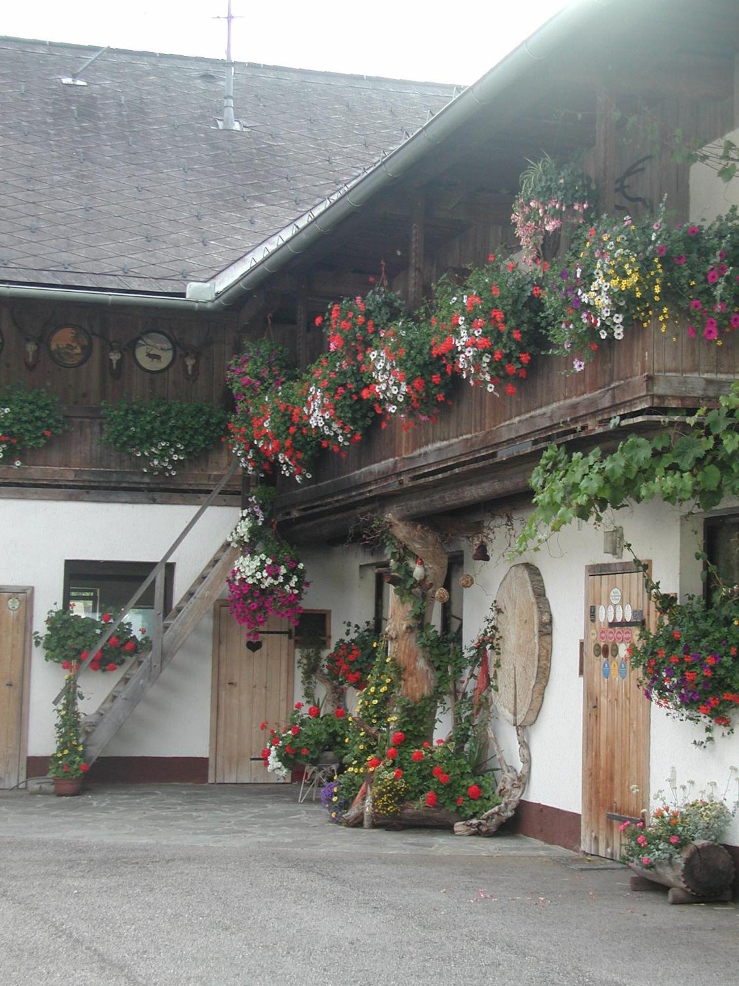 Ferienhof Unterfuehrholzergut Klaus an der Pyhrnbahn Exterior photo